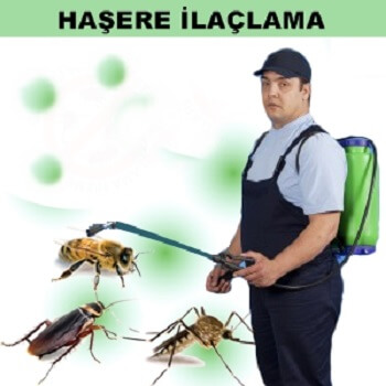 Nusaybin Böcek İlaçlama